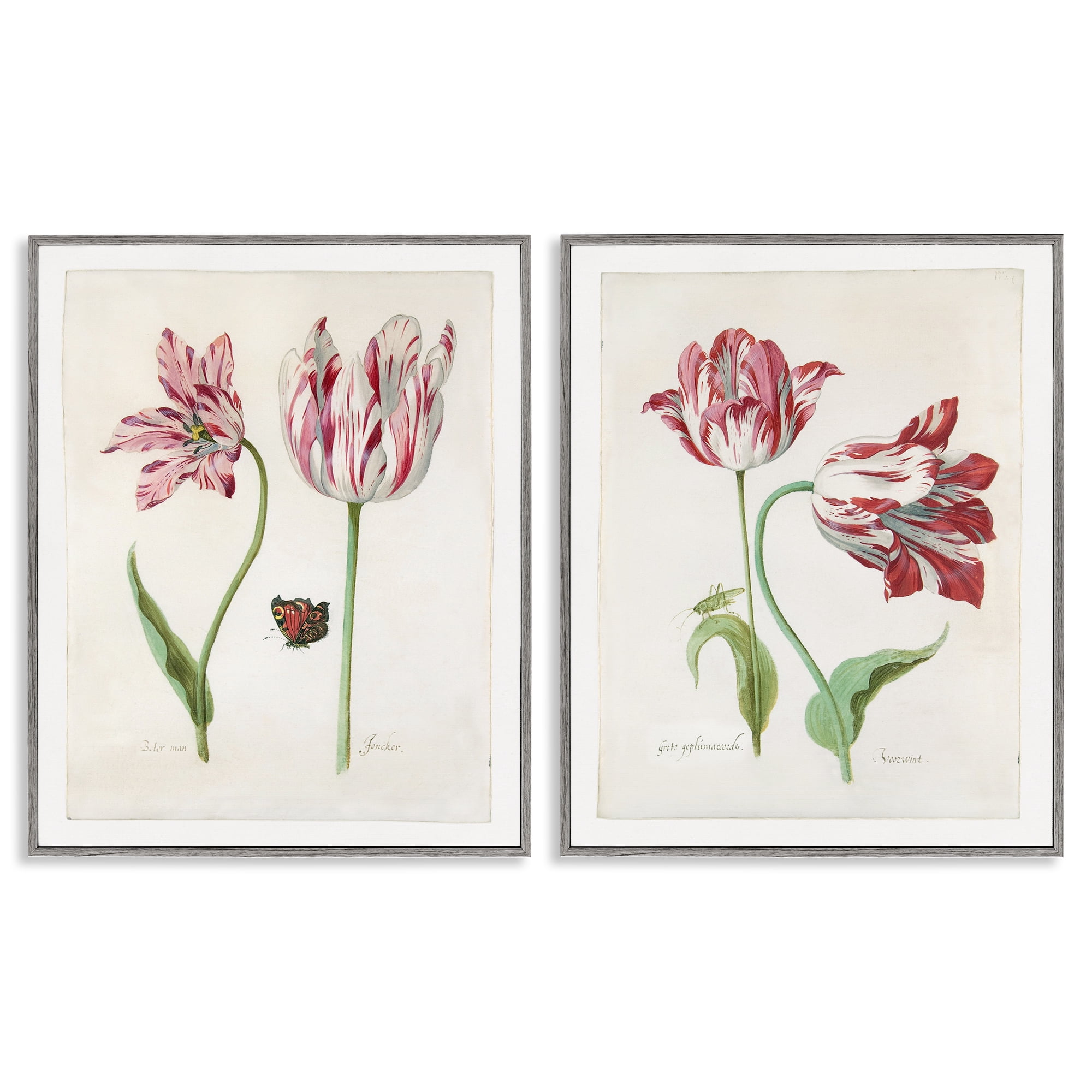 Stupell Industries Vintage Tulip & Insect Studies Floral & Botanical Painting Gray Framed Art Print Wall Art, 16 x 20, Set of 2