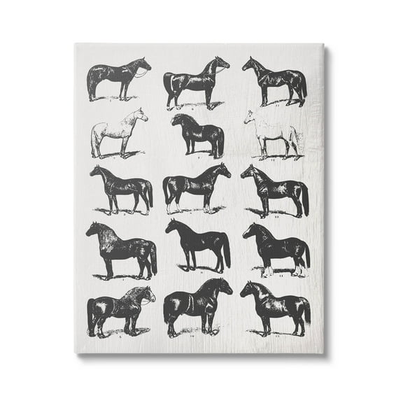 Stupell Industries Vintage Varied Horse Breeds Graphic Art Gallery Wrapped Canvas Print Wall Art, Design by Daphne Polselli