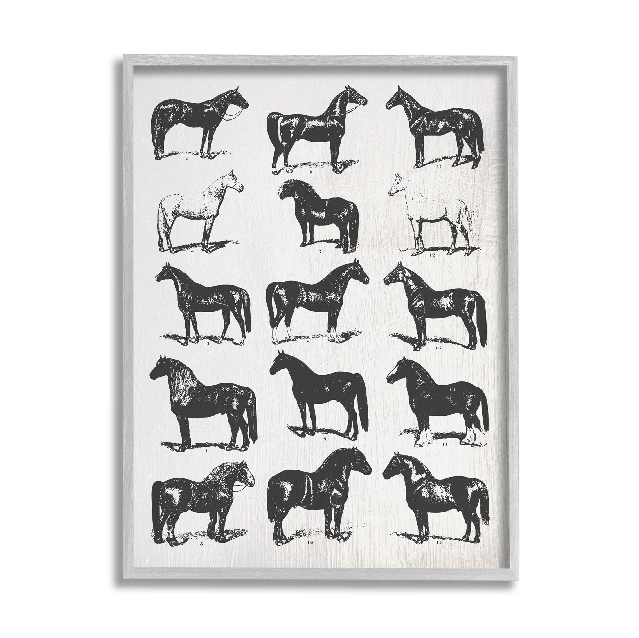 Stupell Industries Vintage Varied Horse Breeds Graphic Art Gray Framed Art Print Wall Art, Design by Daphne Polselli