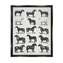 Stupell Industries Vintage Varied Horse Breeds Graphic Art Jet Black Floating Framed Canvas Print Wall Art, Design by Daphne Polselli