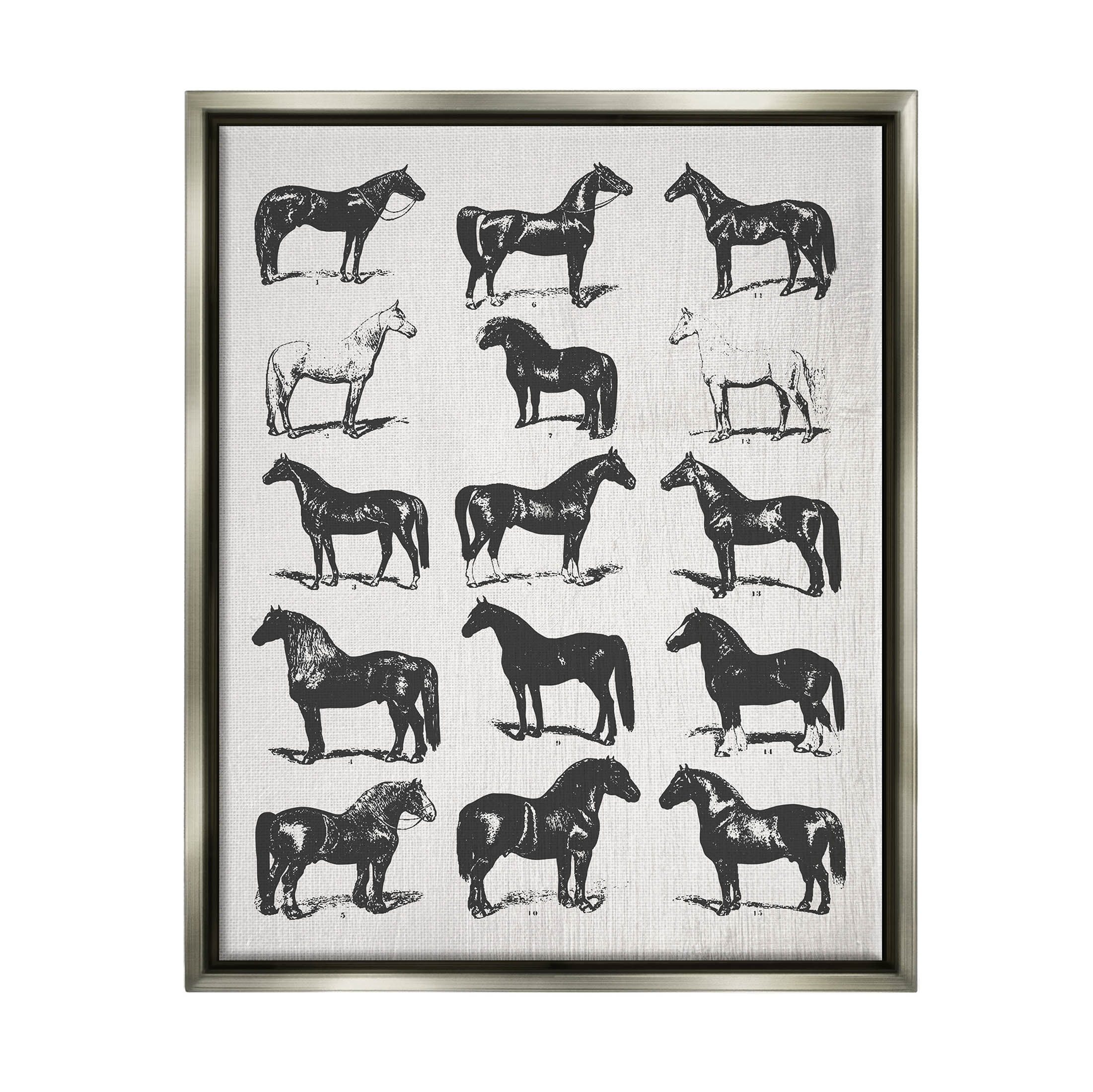 Stupell Industries Vintage Varied Horse Breeds Graphic Art Luster Gray Floating Framed Canvas Print Wall Art, Design by Daphne Polselli