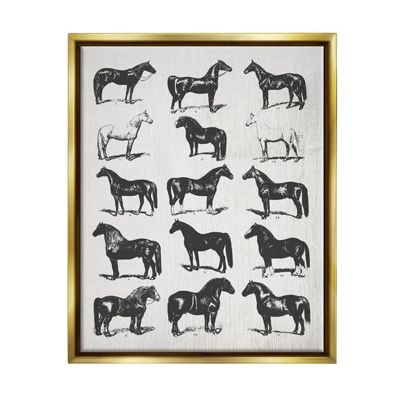 Stupell Industries Vintage Varied Horse Breeds Graphic Art Metallic Gold Floating Framed Canvas Print Wall Art, Design by Daphne Polselli