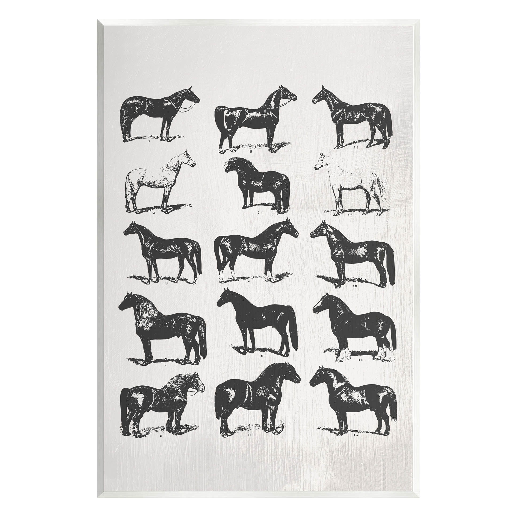 Stupell Industries Vintage Varied Horse Breeds Graphic Art Unframed Art Print Wall Art, Design by Daphne Polselli