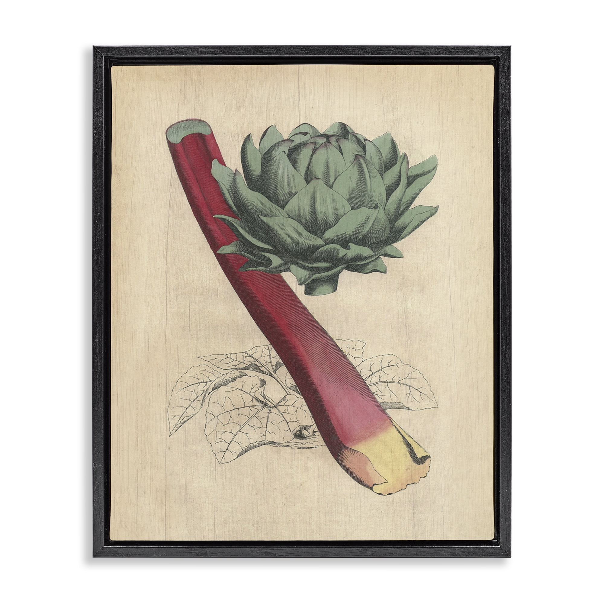 Stupell Industries Vintage Vegetable Studies Food & Beverage Painting Black Floater Framed Canvas Art Print Wall Art, 17 x 21