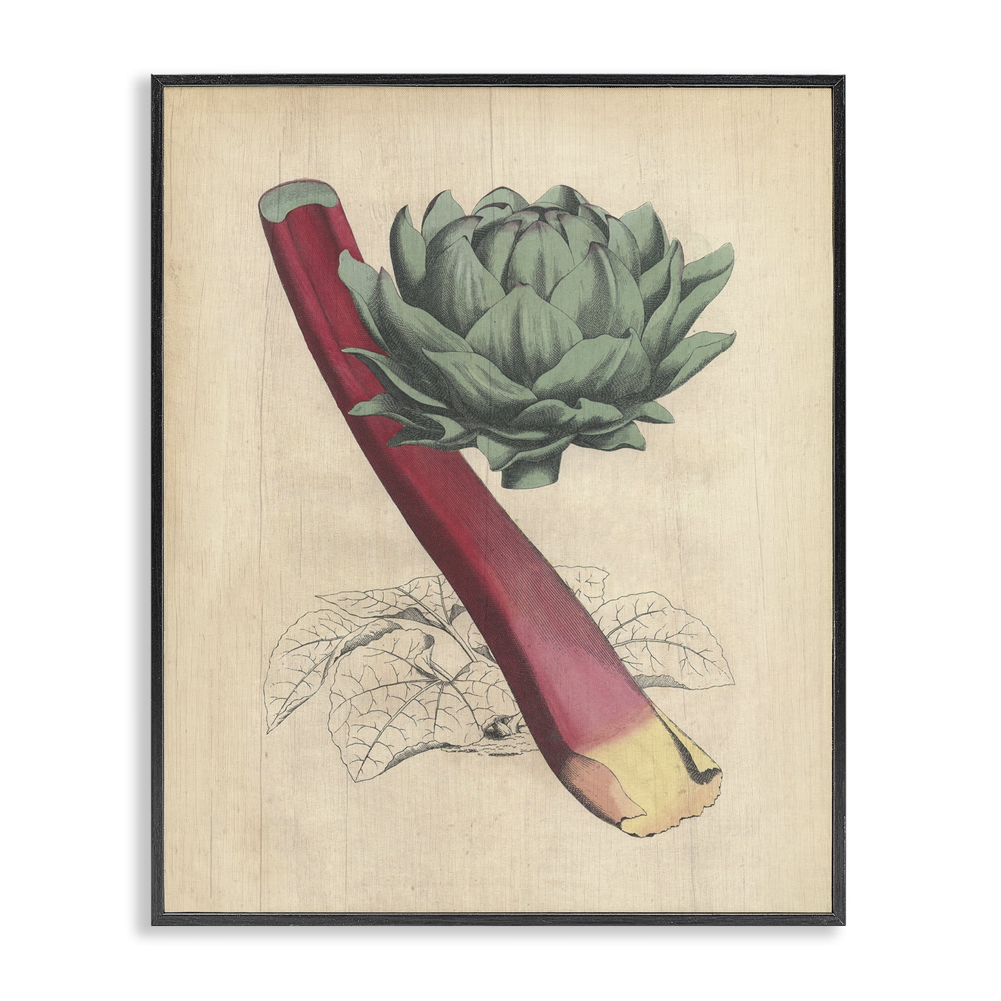 Stupell Industries Vintage Vegetable Studies Food & Beverage Painting Black Framed Art Print Wall Art, 11 x 14