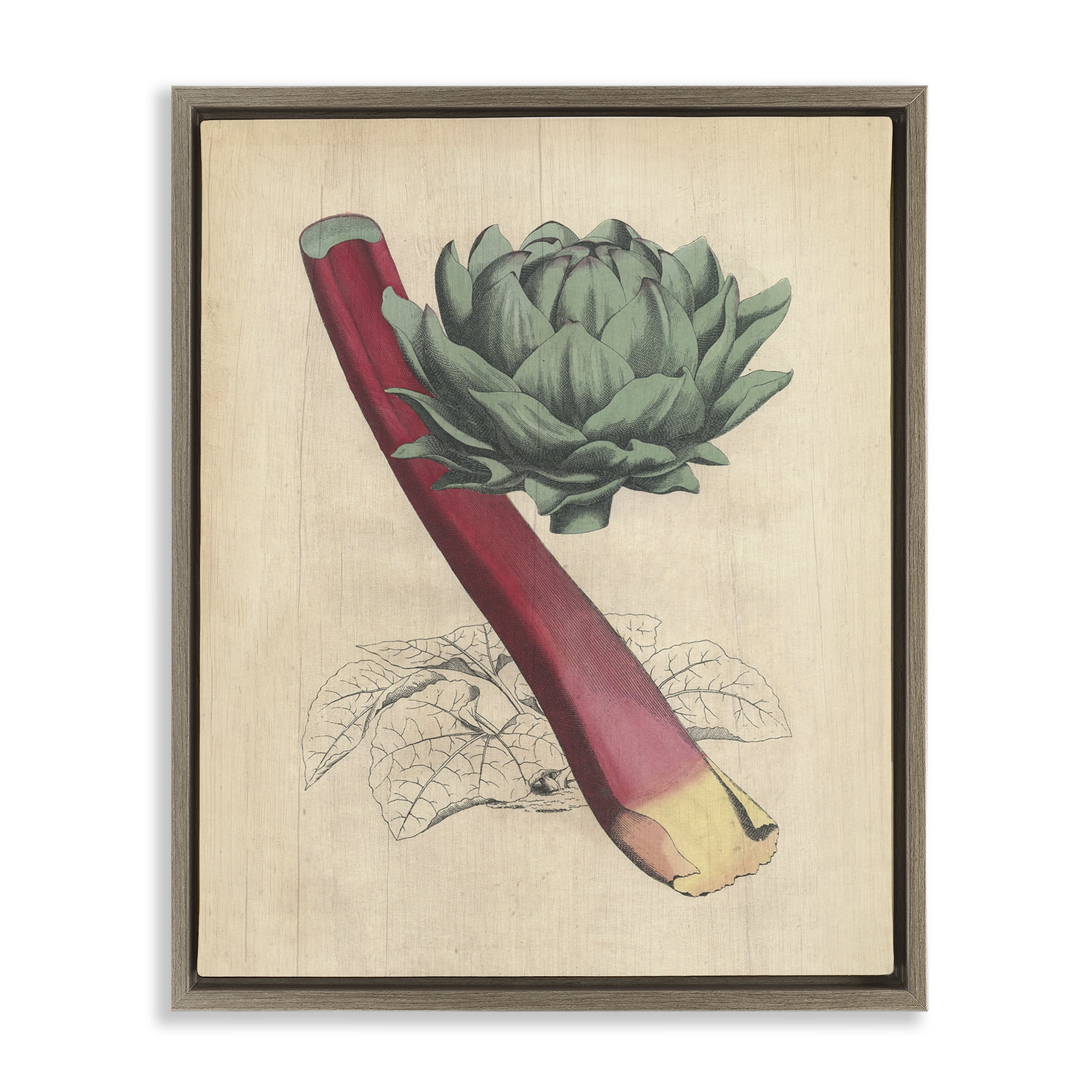 Stupell Industries Vintage Vegetable Studies Food & Beverage Painting Brown Floater Framed Canvas Art Print Wall Art, 25 x 31