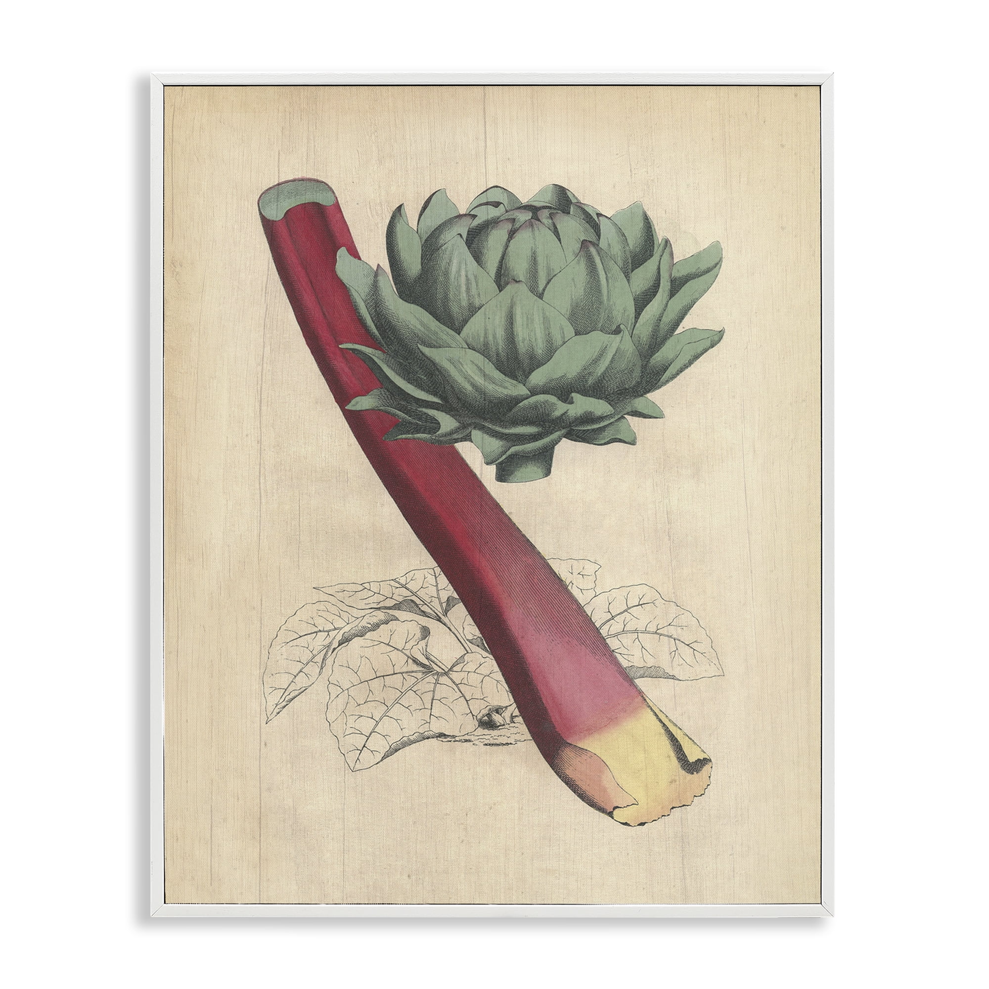 Stupell Industries Vintage Vegetable Studies Food & Beverage Painting White Framed Art Print Wall Art, 11 x 14
