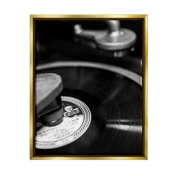 Stupell Industries Vintage Vinyl Record Nature Photography Gold Floater Framed Canvas Art Print Wall Art, 25 x 31