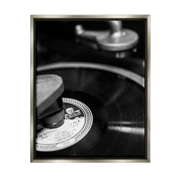 Stupell Industries Vintage Vinyl Record Nature Photography Gray Floater Framed Canvas Art Print Wall Art, 17 x 21