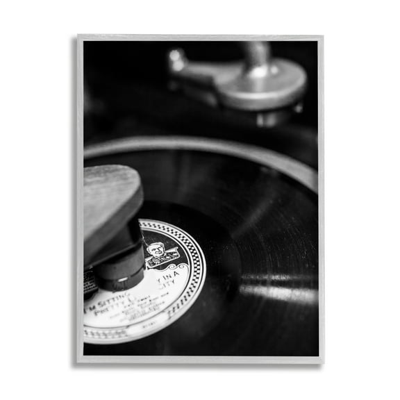 Stupell Industries Vintage Vinyl Record Nature Photography Gray Framed Art Print Wall Art, 11 x 14
