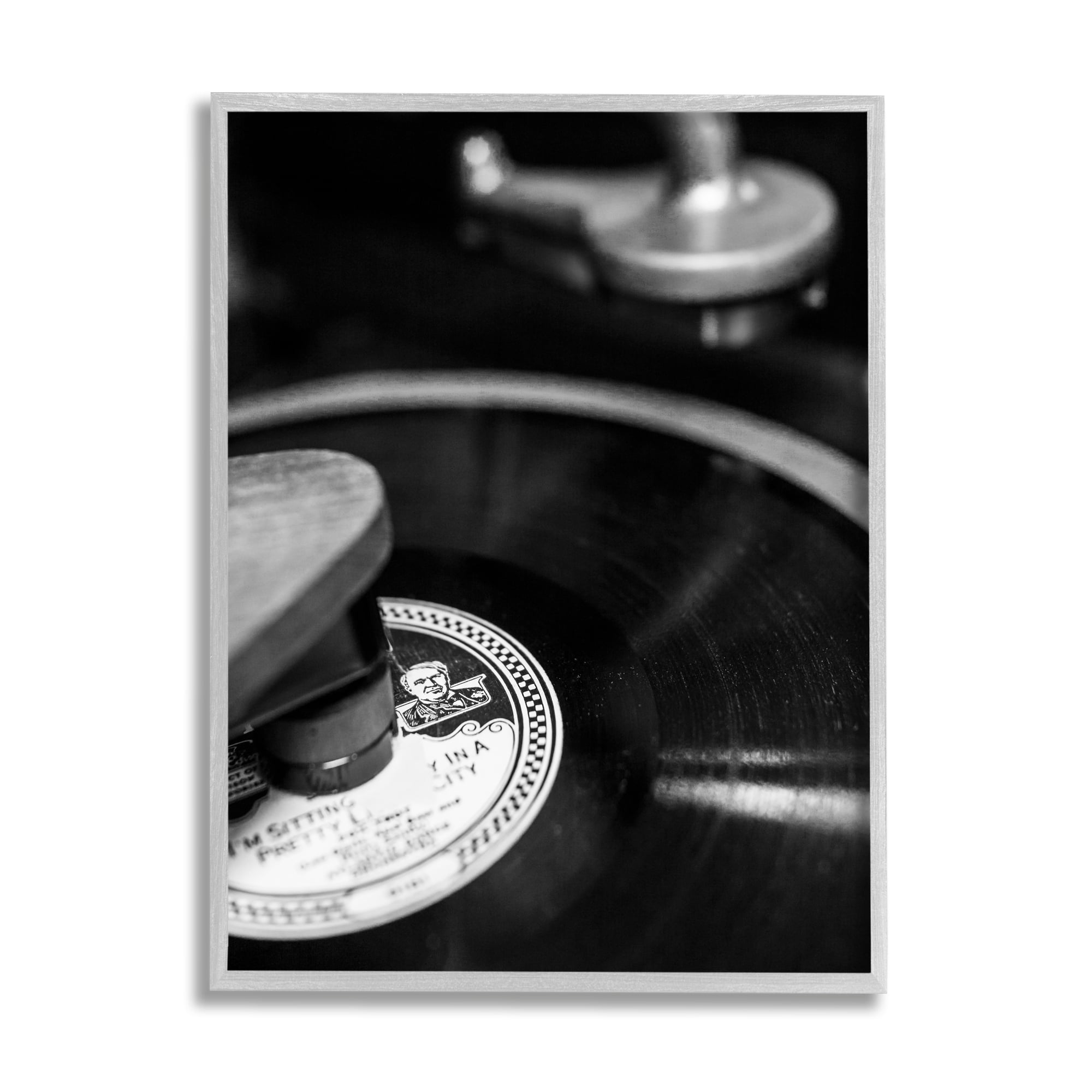 Stupell Industries Vintage Vinyl Record Nature Photography Gray Framed Art Print Wall Art, 24 x 30