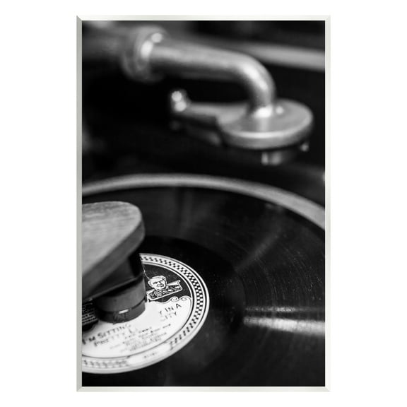 Stupell Industries Vintage Vinyl Record Nature Photography Unframed Art Print Wall Art, 13 x 19