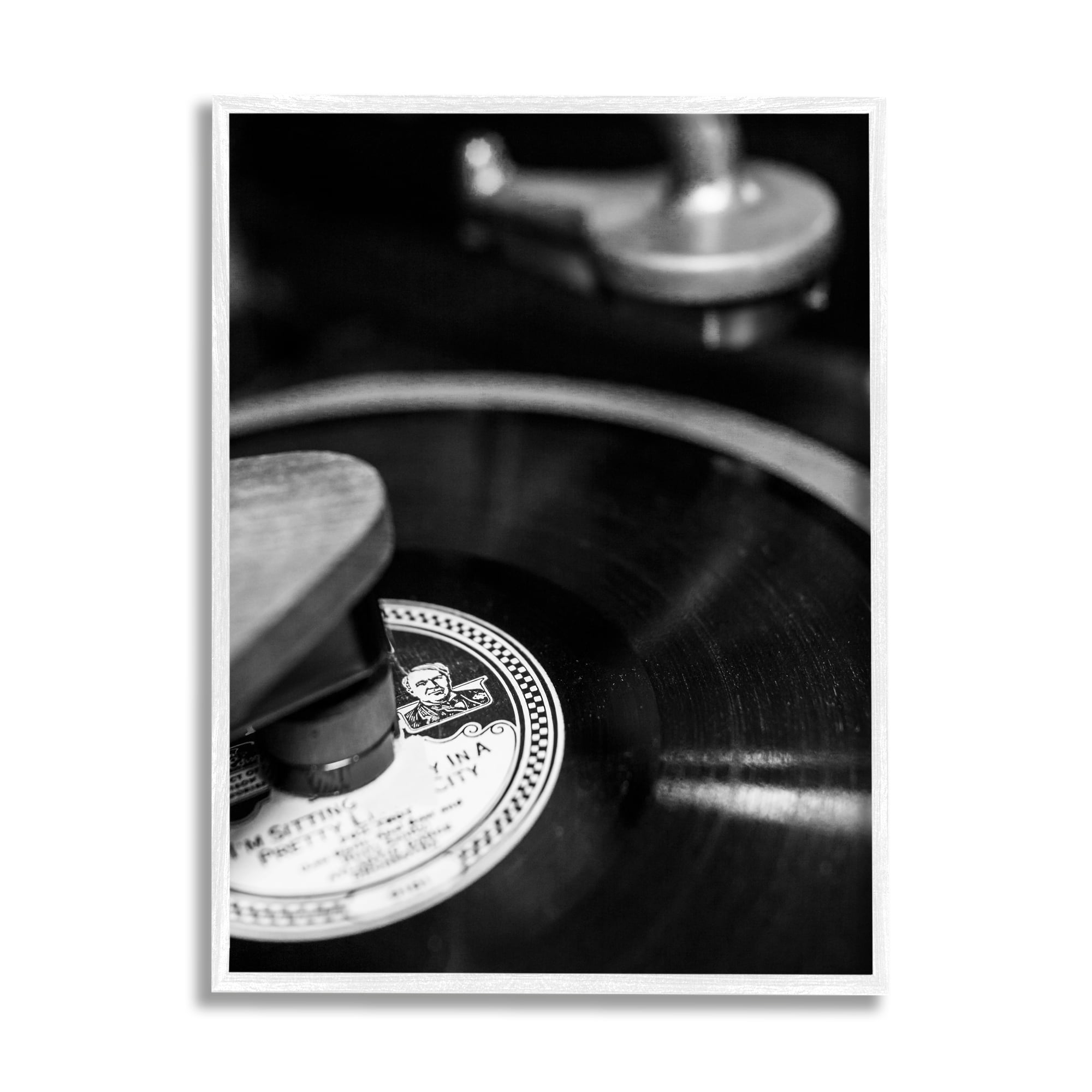 Stupell Industries Vintage Vinyl Record Nature Photography White Framed Art Print Wall Art, 24 x 30