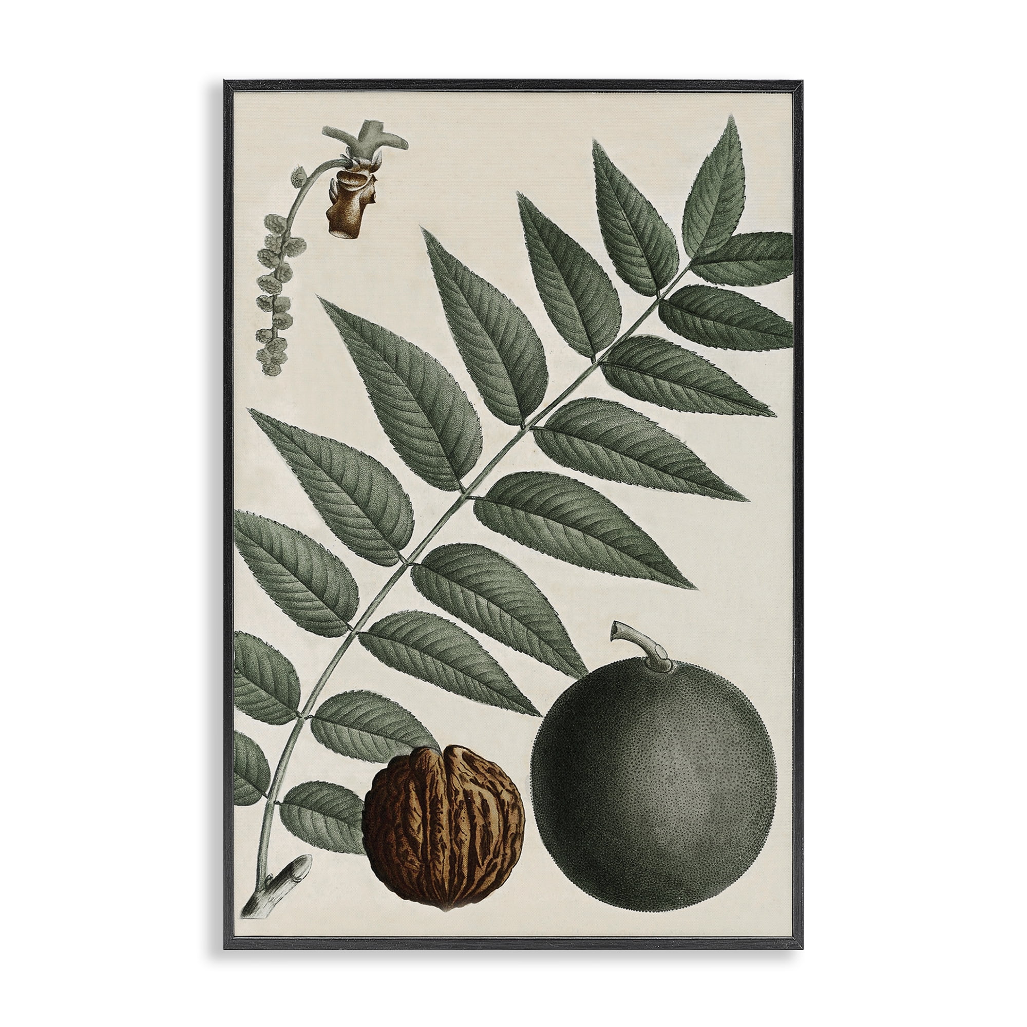 Stupell Industries Vintage Walnut & Leaf Plants & Flowers Painting Black Framed Art Print Wall Art, 20 x 30