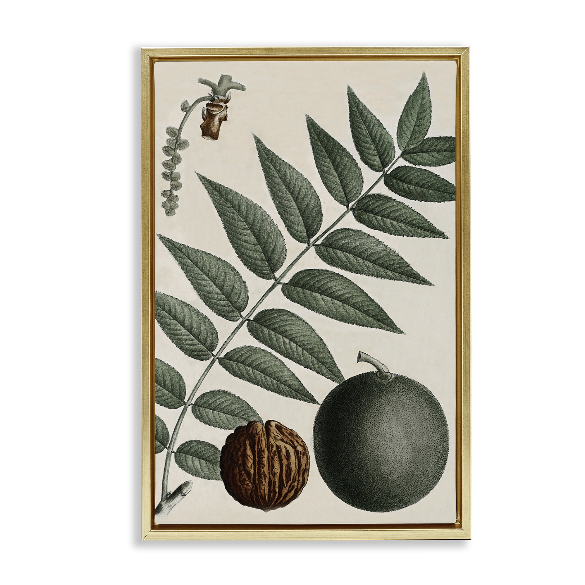 Stupell Industries Vintage Walnut & Leaf Plants & Flowers Painting Gold Floater Framed Canvas Art Print Wall Art, 17 x 25