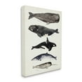 thumbnail image 1 of Stupell Industries Vintage Watercolor Whale Chart Large Aquatic Animals Nature Painting Gallery Wrapped Canvas Print Wall Art, 24 x 30, 1 of 6