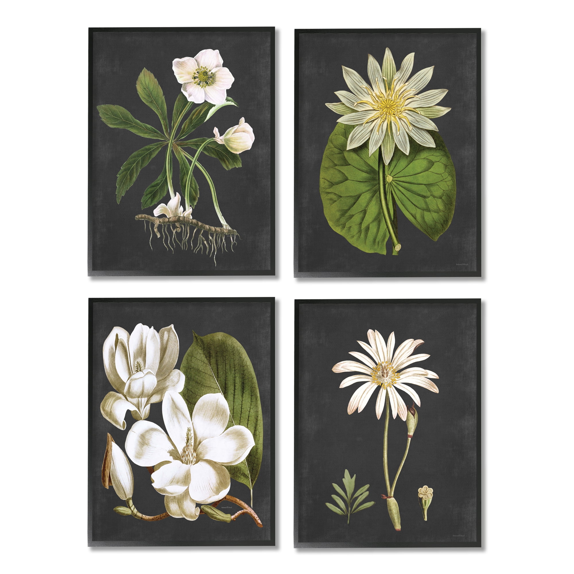 Stupell Industries Vintage White Florals over Distressed Grey Lotus Daisies, 11 x 14,Design by Lettered and Lined