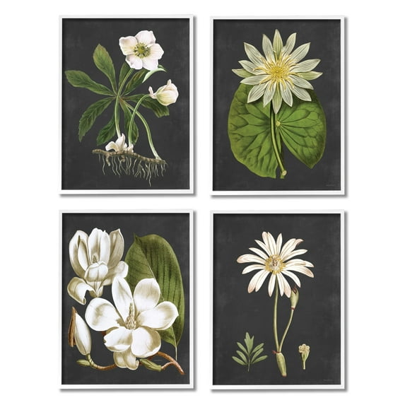 Stupell Industries Vintage White Florals over Distressed Grey Lotus Daisies, 16 x 20,Design by Lettered and Lined