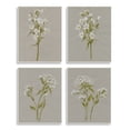 thumbnail image 1 of Stupell  Vintage White Wild Flower Study Soft Petals 4pc Multi Piece Wood Wall Art Set, 10 x 15 - Green, 1 of 5