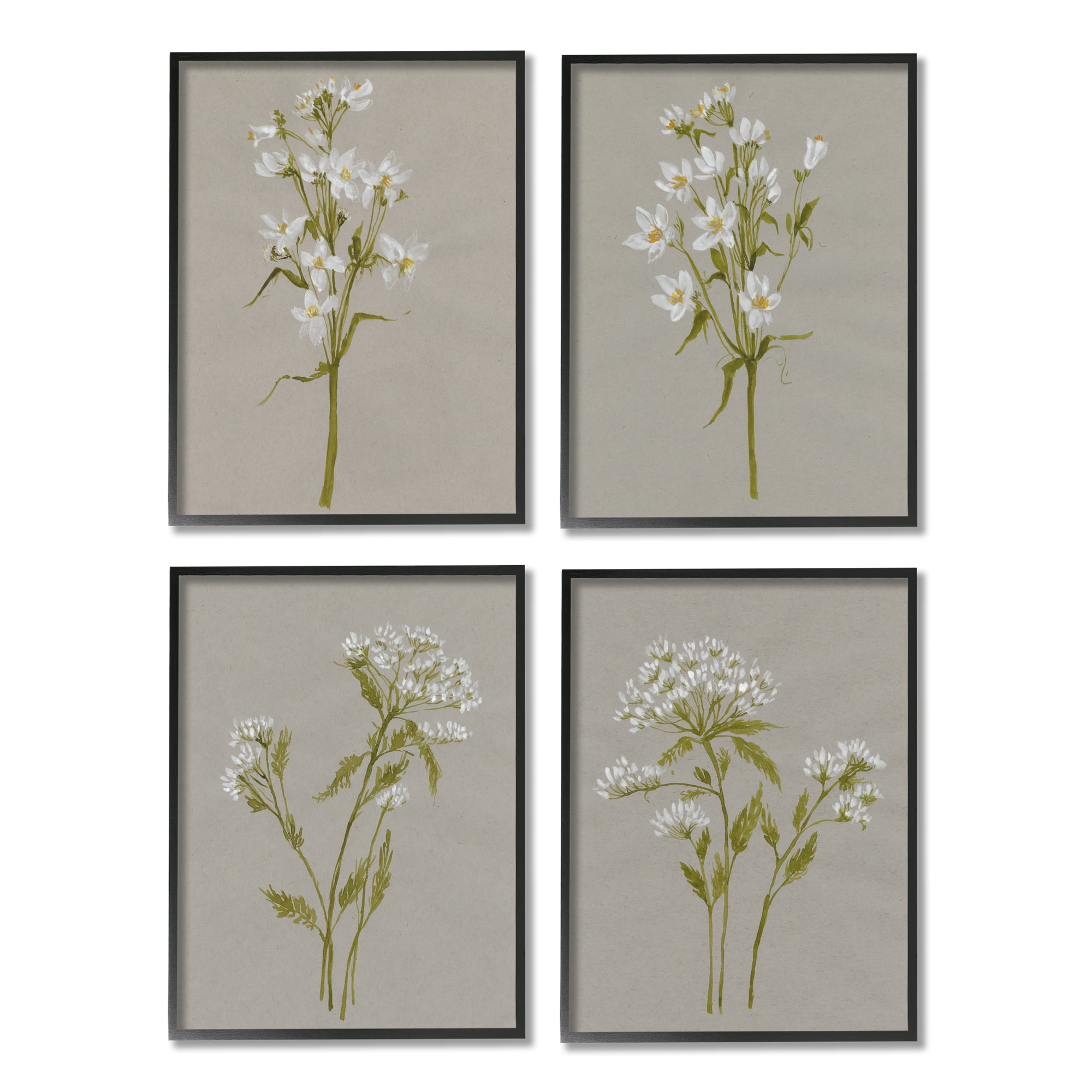 Stupell Industries Vintage White Wild Flower Study Soft Petals Black Framed, 11 x 14, Design by Jennifer Goldberger