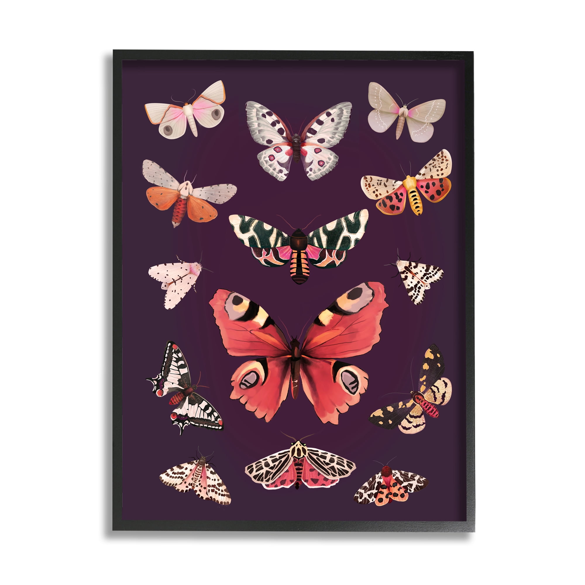 Stupell Industries Vintage Wildlife Moths Animals & Insects Painting Black Framed Art Print Wall Art, 16 x 20