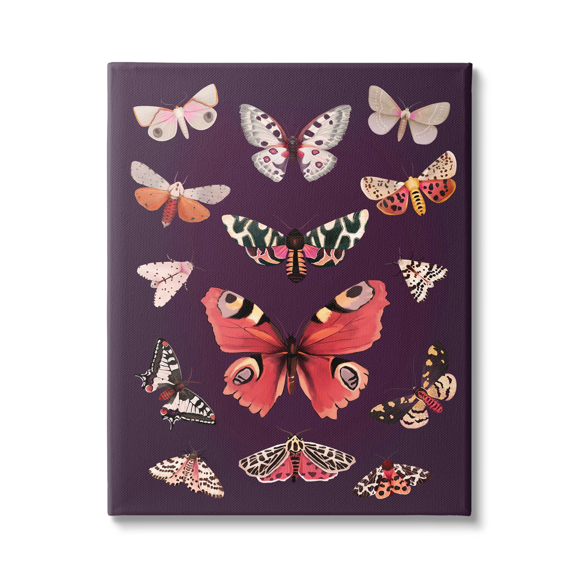 Stupell Industries Vintage Wildlife Moths Animals & Insects Painting Gallery Wrapped Canvas Print Wall Art, 24 x 30