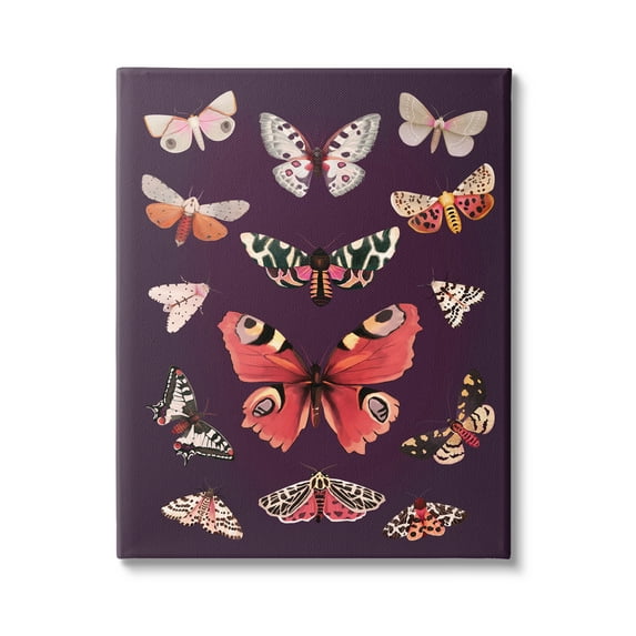 Stupell Industries Vintage Wildlife Moths Animals & Insects Painting Gallery Wrapped Canvas Print Wall Art, 36 x 48