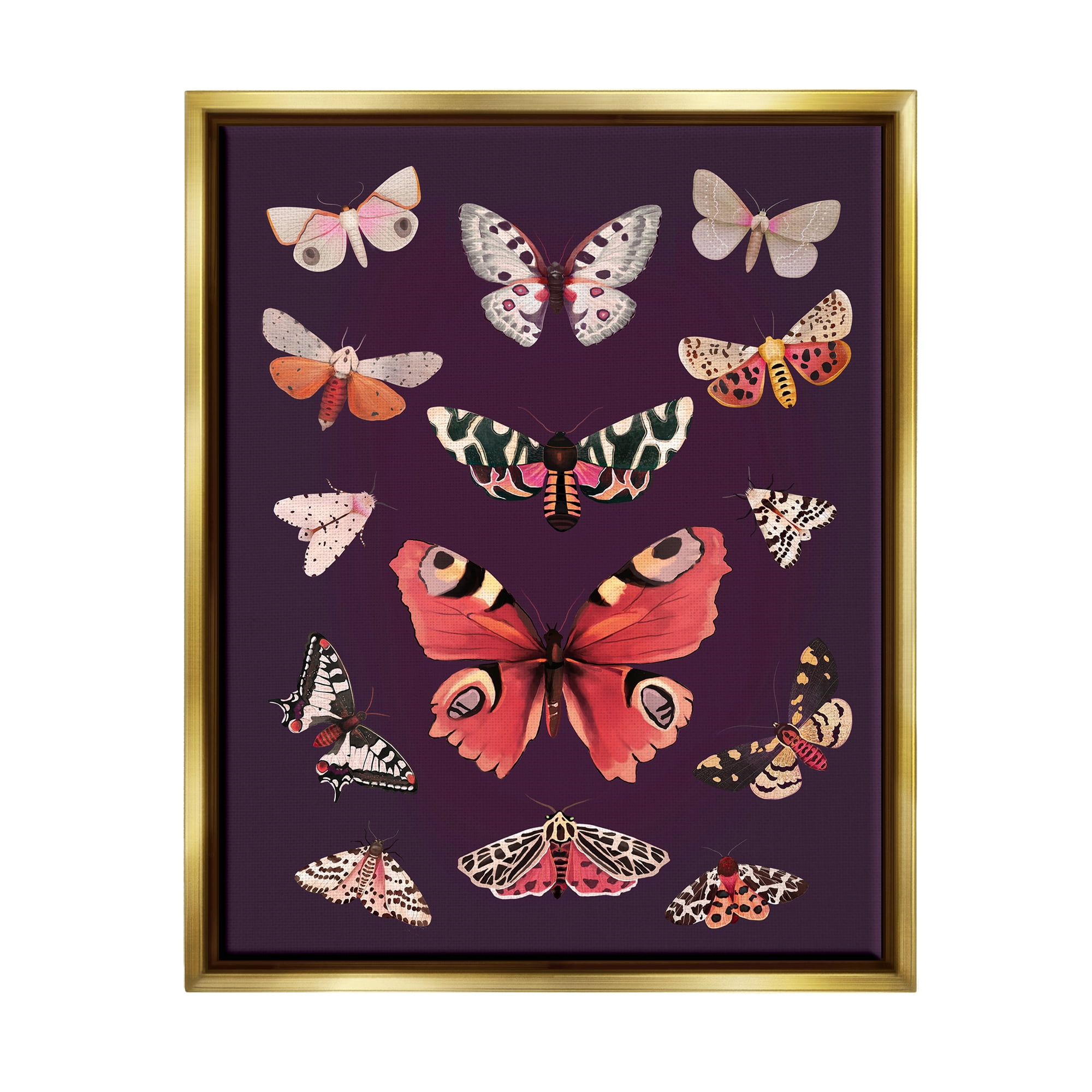 Stupell Industries Vintage Wildlife Moths Animals & Insects Painting Gold Floater Framed Art Print Wall Art, 17 x 21