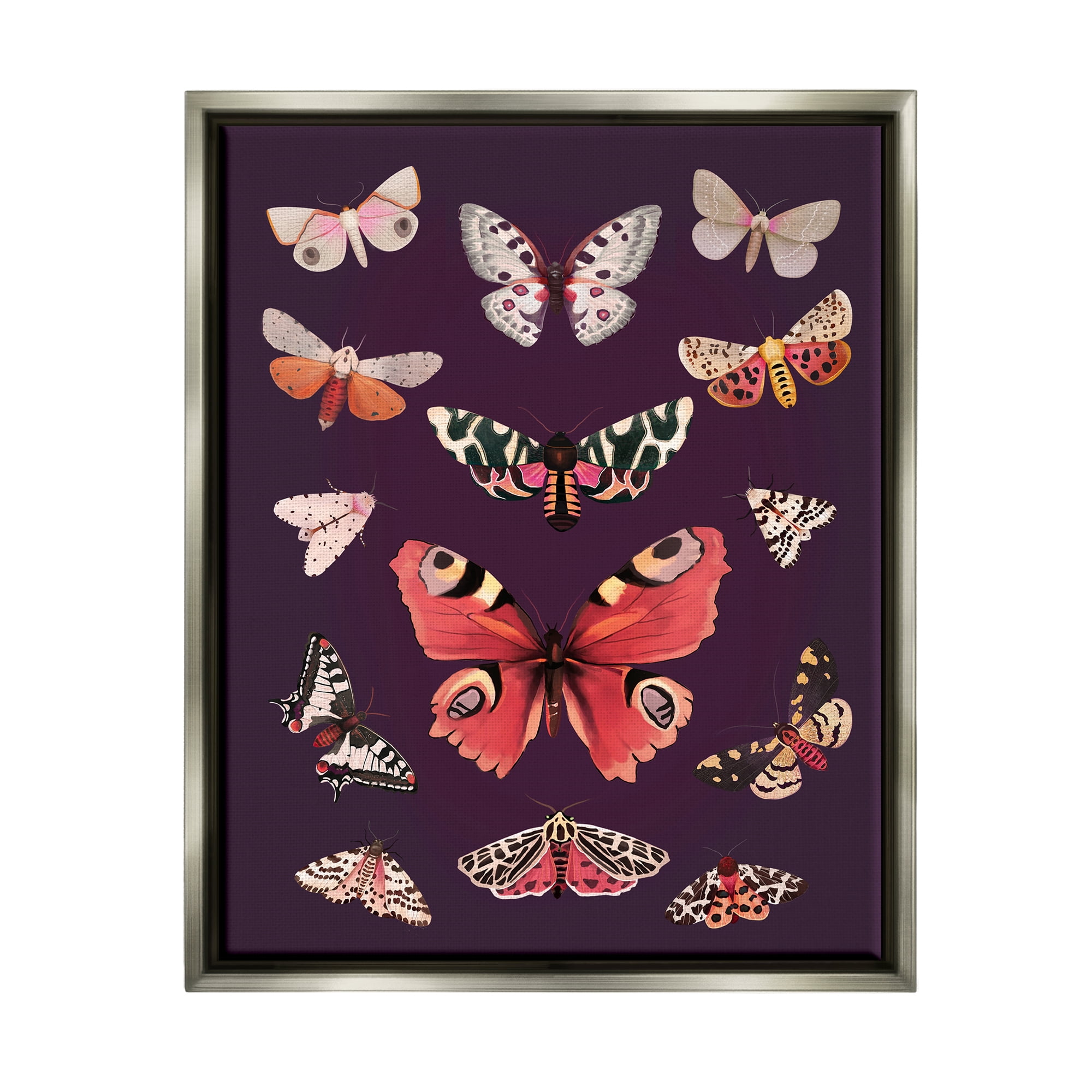 Stupell Industries Vintage Wildlife Moths Animals & Insects Painting Gray Floater Framed Art Print Wall Art, 25 x 31