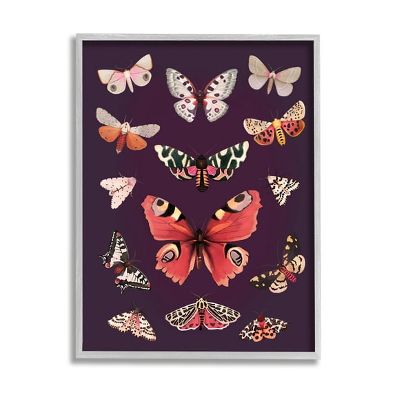 Stupell Industries Vintage Wildlife Moths Animals & Insects Painting Gray Framed Art Print Wall Art, 16 x 20