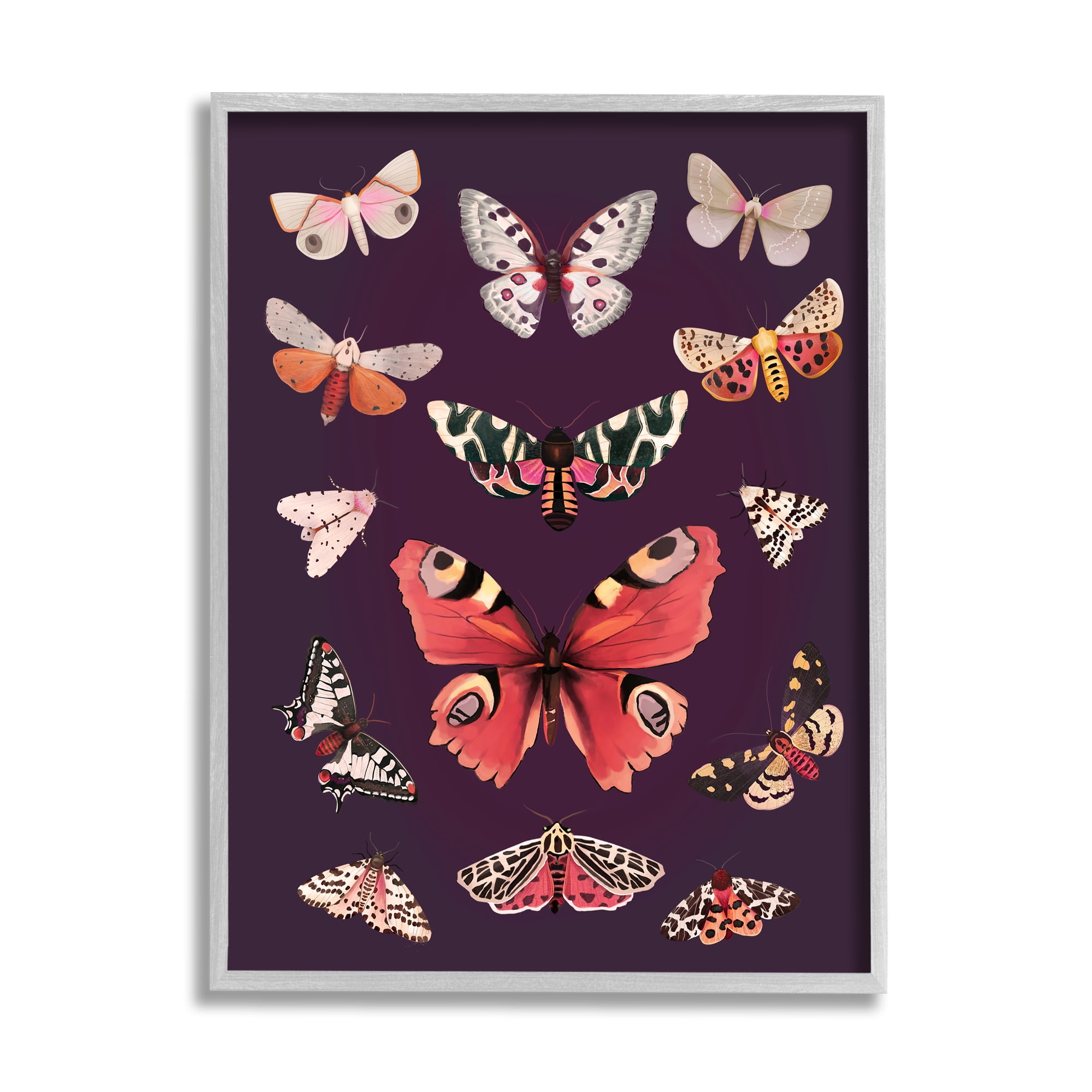 Stupell Industries Vintage Wildlife Moths Animals & Insects Painting Gray Framed Art Print Wall Art, 24 x 30