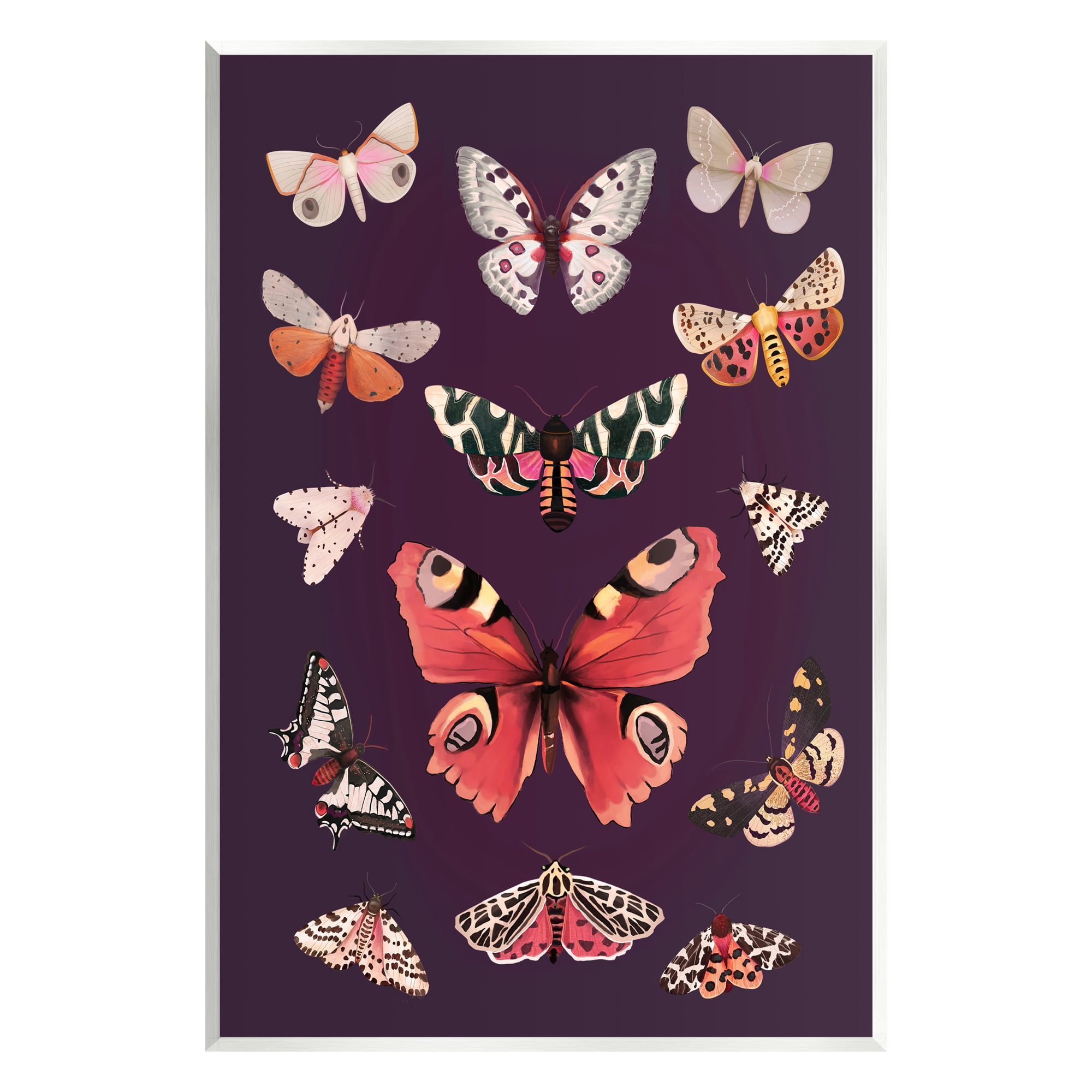 Stupell Industries Vintage Wildlife Moths Animals & Insects Painting Unframed Art Print Wall Art, 13 x 19
