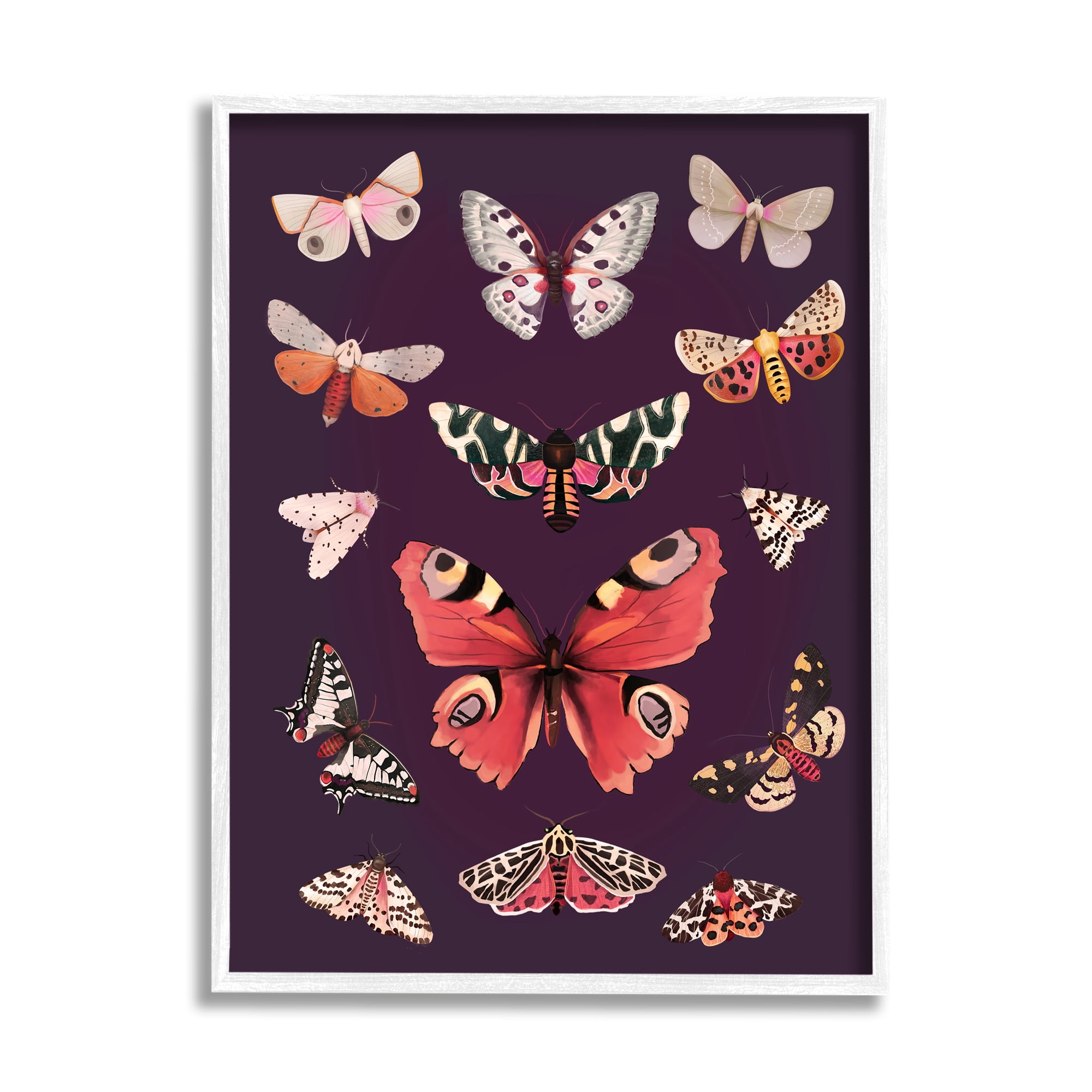 Stupell Industries Vintage Wildlife Moths Animals & Insects Painting White Framed Art Print Wall Art, 24 x 30