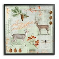 Stupell Industries Vintage Woodland Postcard Animals & Insects Painting Black Framed Art Print Wall Art, 12 x 12