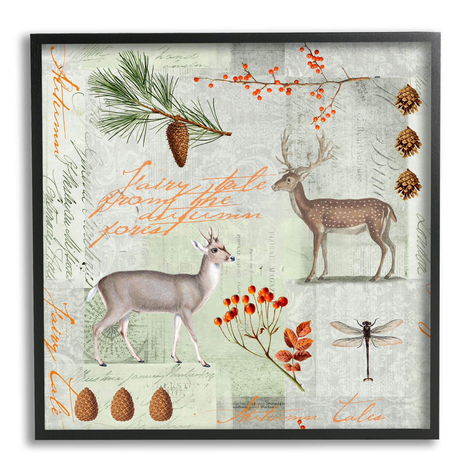 Stupell Industries Vintage Woodland Postcard Animals & Insects Painting Black Framed Art Print Wall Art, 24 x 24
