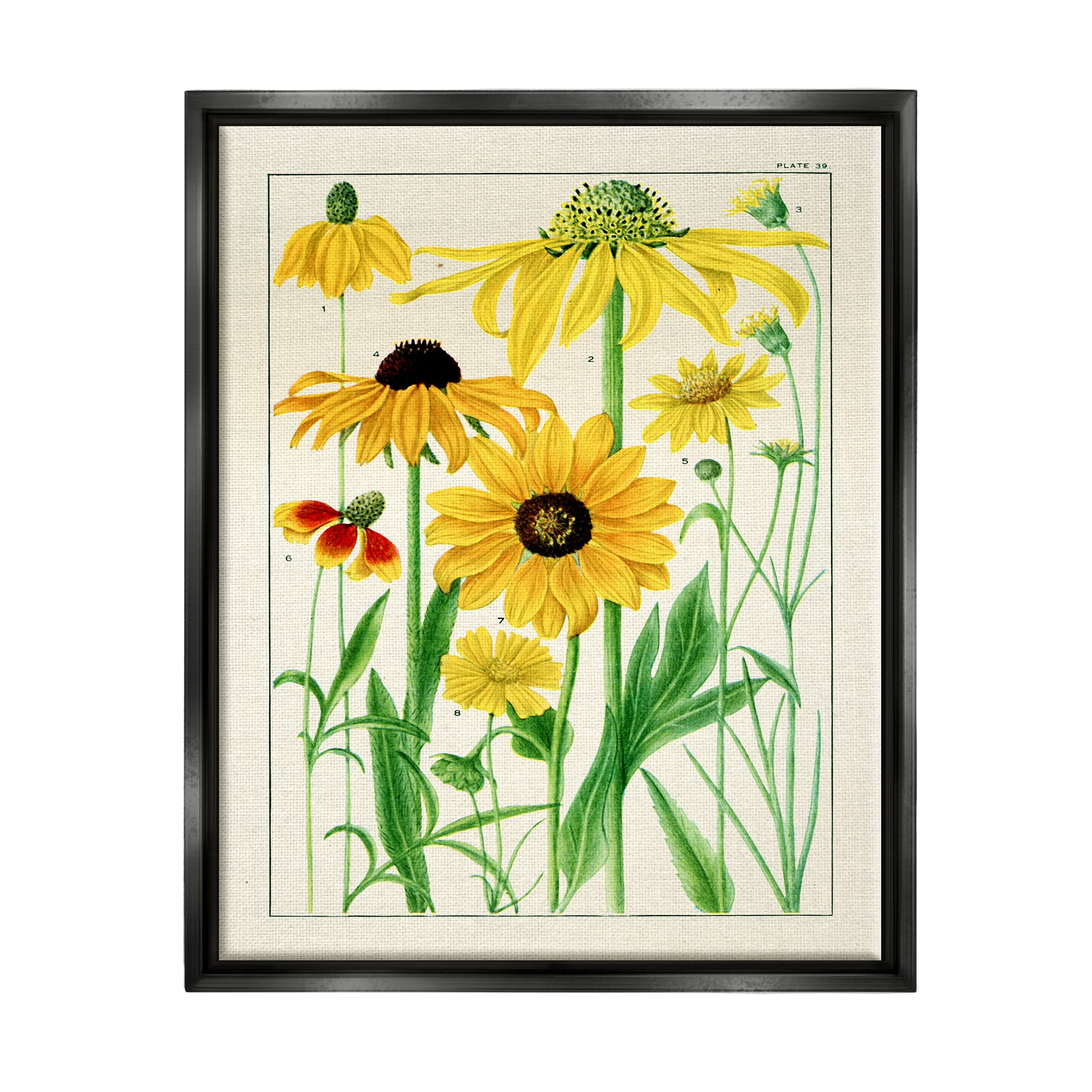 Stupell Industries Vintage Yellow Daisies Botanical & Floral Painting Black Floater Framed Art Print Wall Art, 17 x 21
