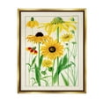 thumbnail image 1 of Stupell Industries Vintage Yellow Daisies Botanical & Floral Painting Gold Floater Framed Art Print Wall Art, 17 x 21, 1 of 10