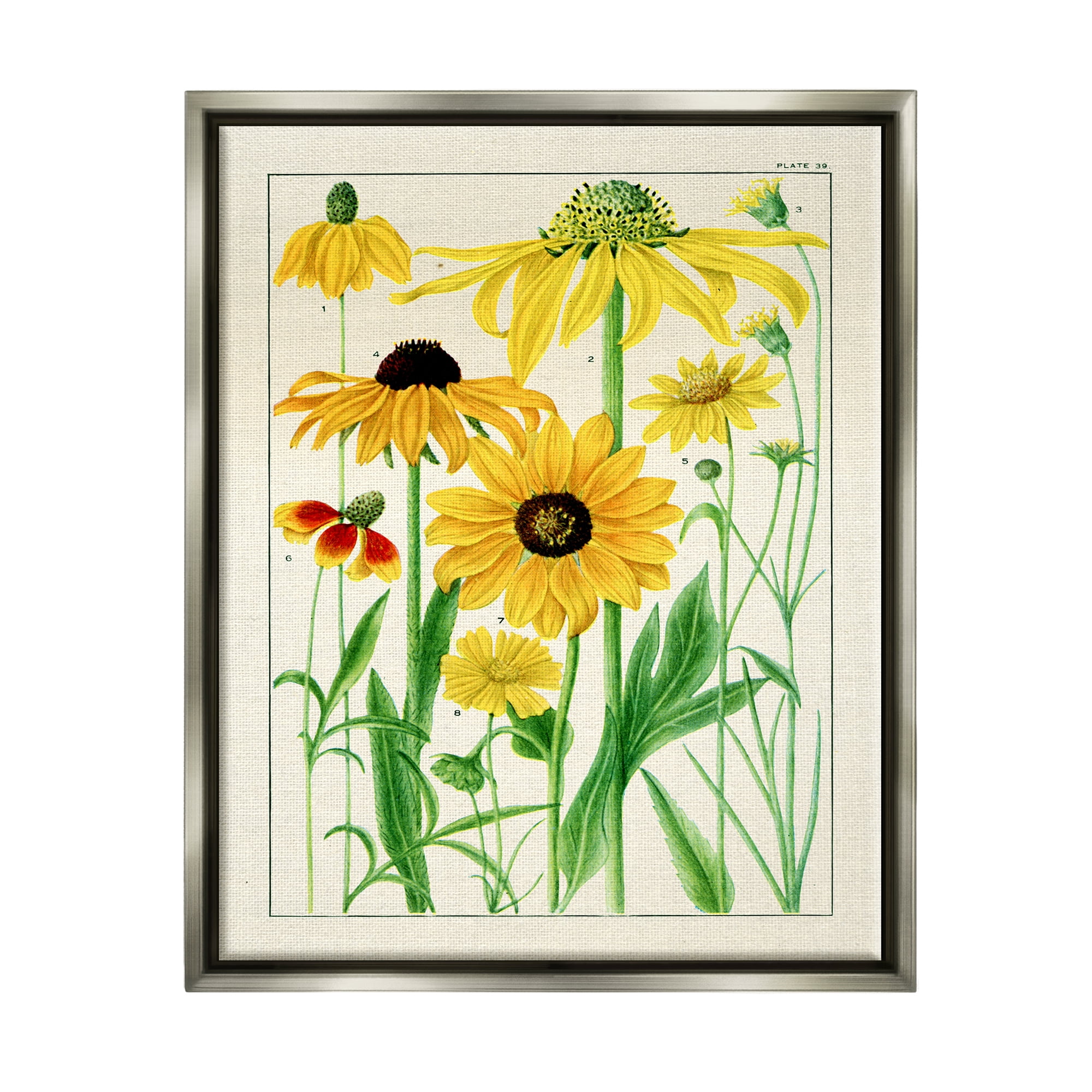 Stupell Industries Vintage Yellow Daisies Botanical & Floral Painting Gray Floater Framed Art Print Wall Art, 25 x 31