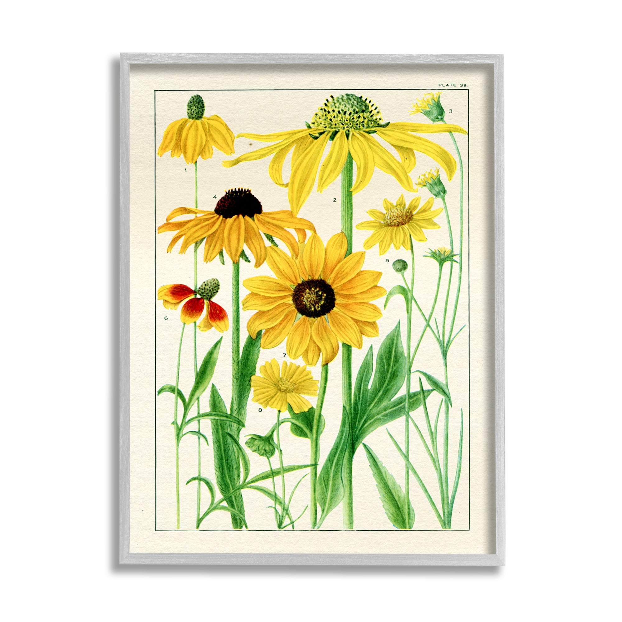 Stupell Industries Vintage Yellow Daisies Botanical & Floral Painting Gray Framed Art Print Wall Art, 11 x 14