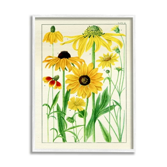 Stupell Industries Vintage Yellow Daisies Botanical & Floral Painting White Framed Art Print Wall Art, 24 x 30