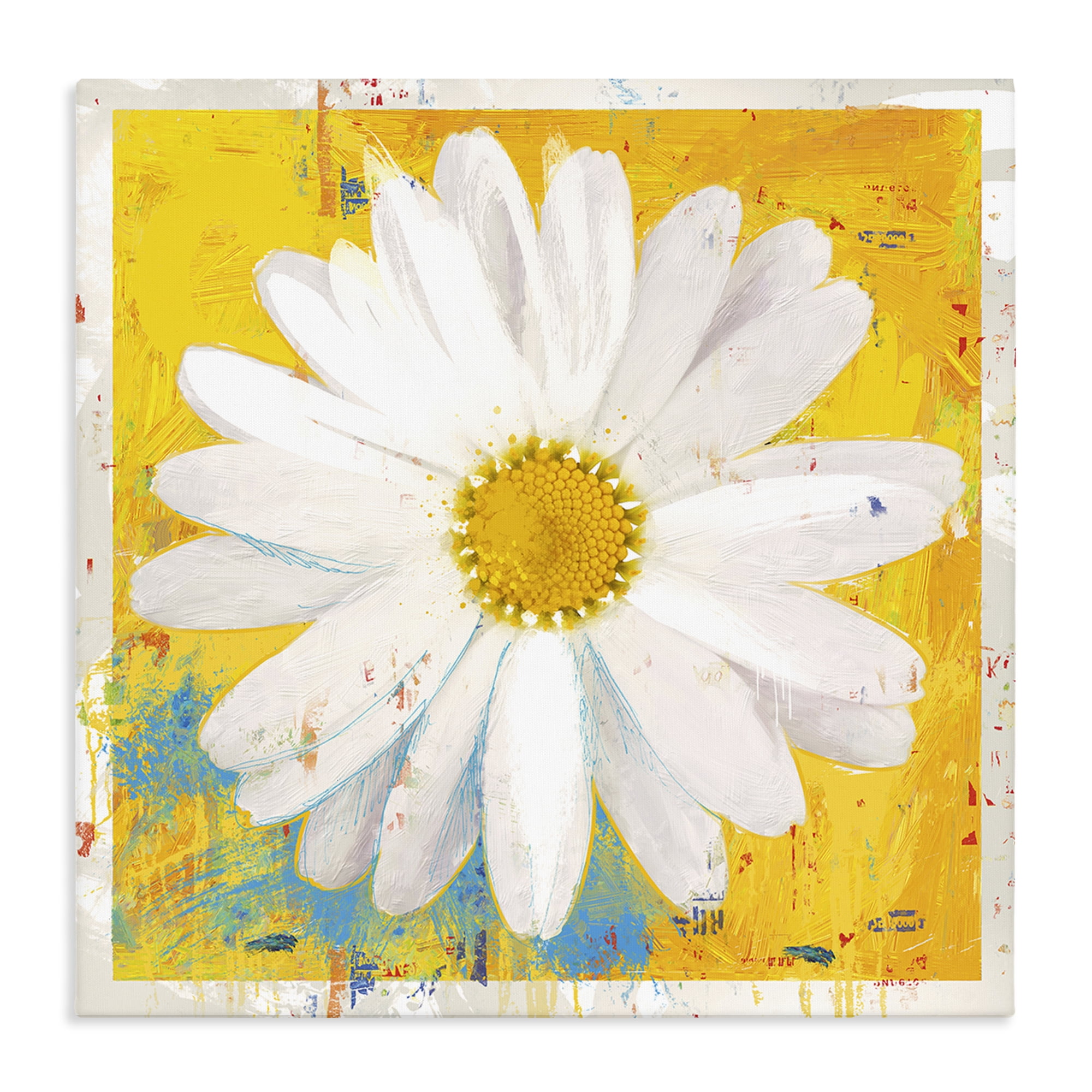 Stupell Industries Violet's Daisy on Yellow Canvas Wall Art, design by Porter Hastings