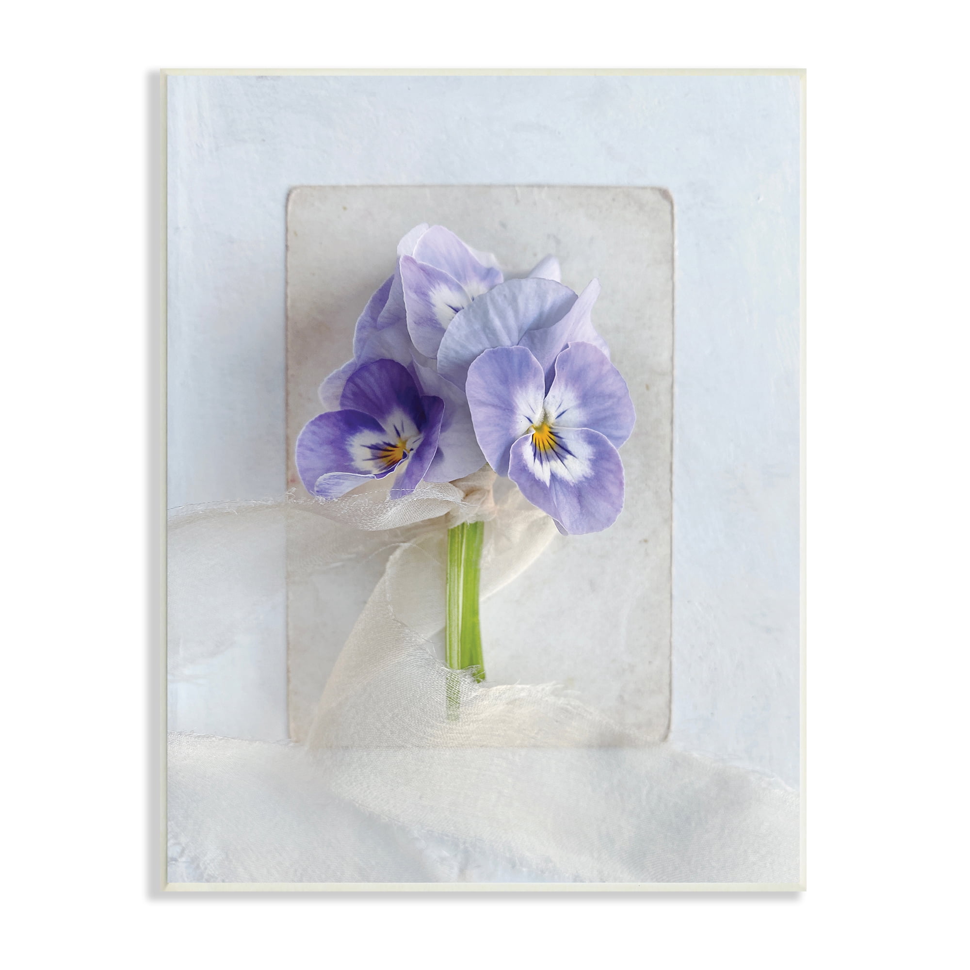 Stupell Industries Violets Wrapped in Sheer Soft Country Floral, 10 x 15, Designed by Sarah Gardner