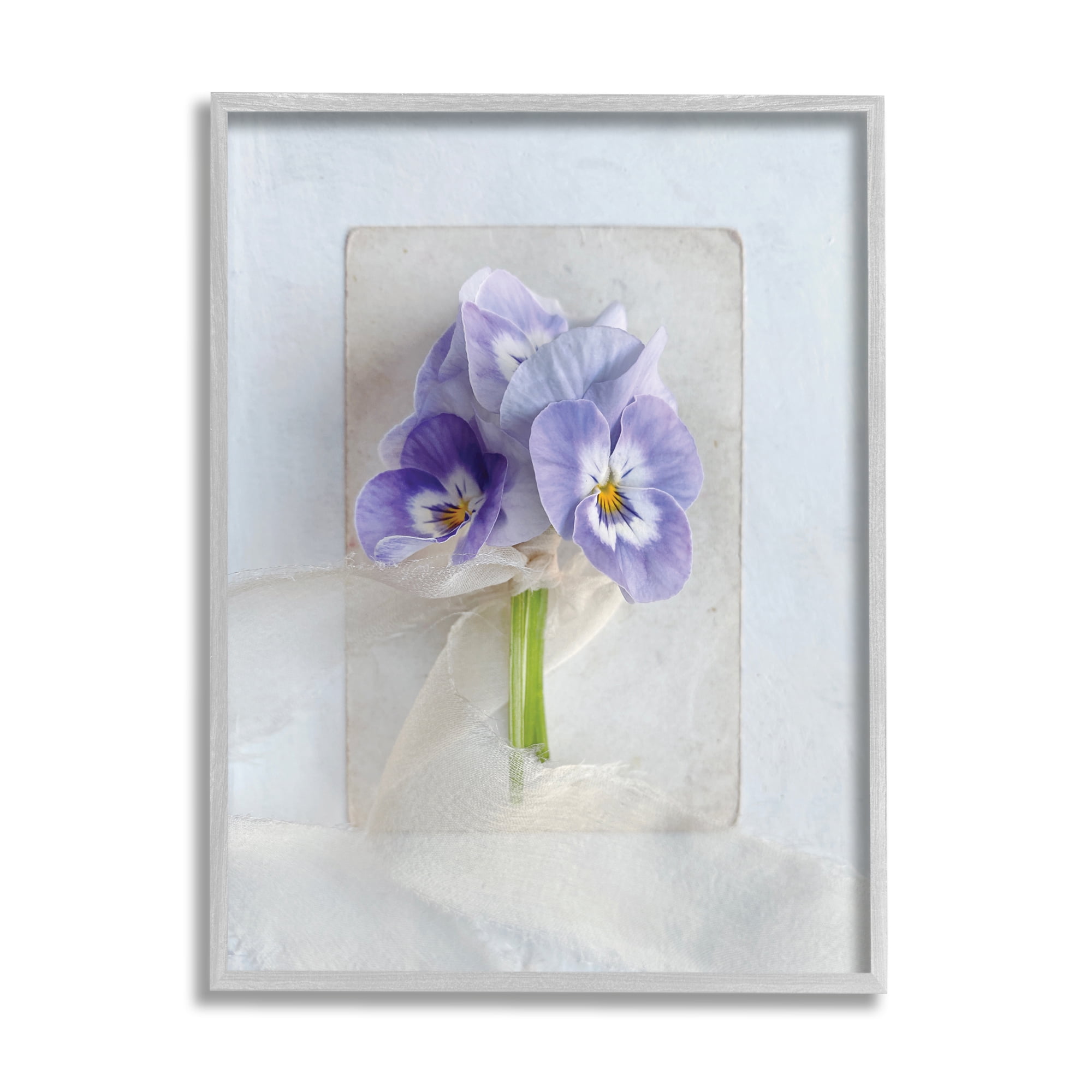 Stupell Industries Violets Wrapped in Sheer Soft Country Floral, 16 x 20, Designed by Sarah Gardner