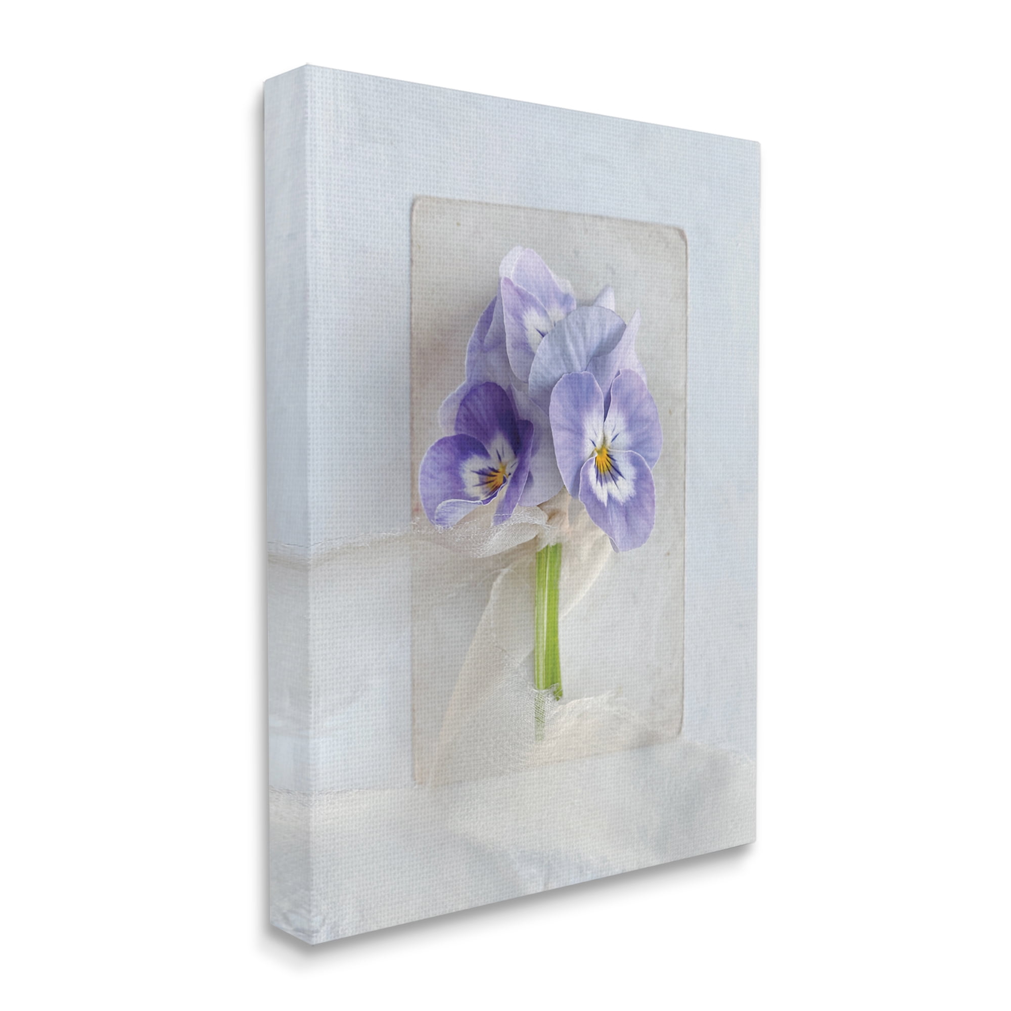 Stupell Industries Violets Wrapped in Sheer Soft Country Floral, 24 x 30, Designed by Sarah Gardner