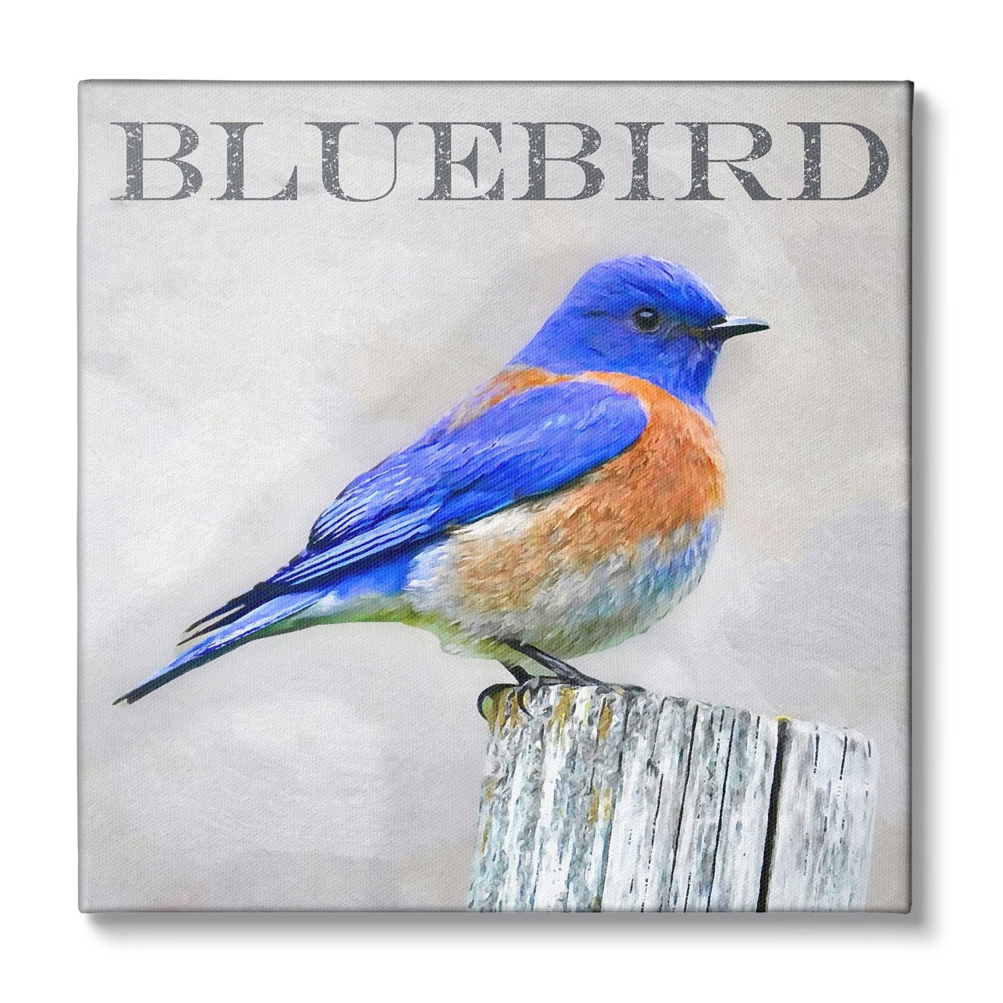 Stupell Industries Vivid Bluebird Standing Birch Tree Rustic Text Canvas Wall Art, 36 x 36, Design by Alpenglow Workshop