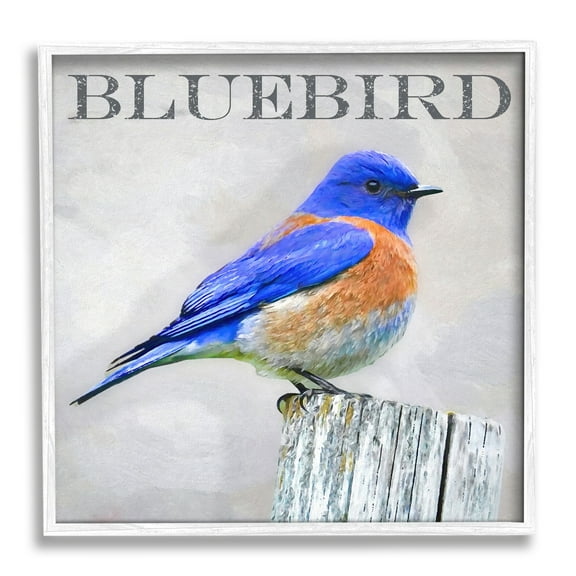 Stupell Industries Vivid Bluebird Standing Birch Tree Rustic Text Framed Wall Art, 12 x 12, Design by Alpenglow Workshop