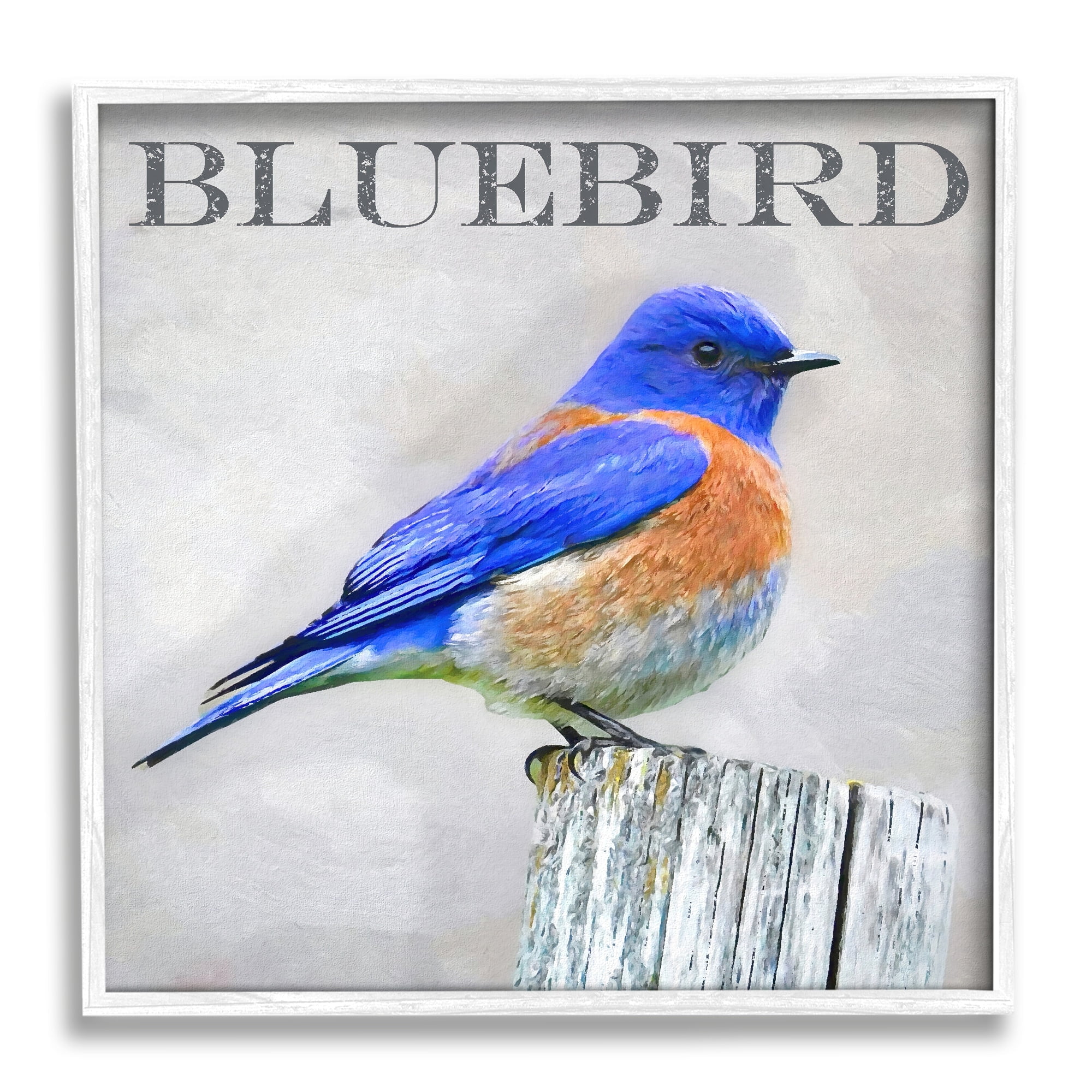 Stupell Industries Vivid Bluebird Standing Birch Tree Rustic Text Framed Wall Art, 17 x 17, Design by Alpenglow Workshop