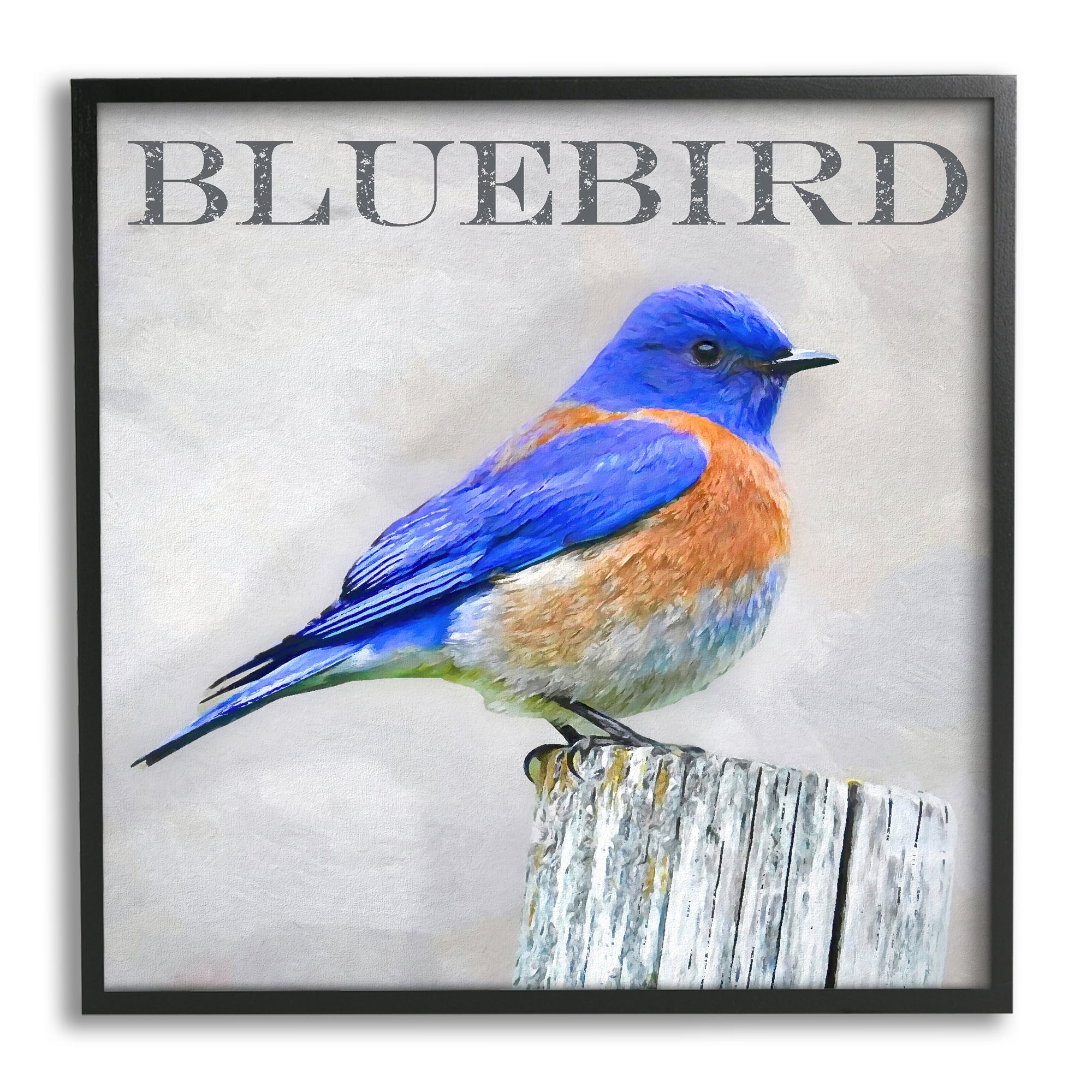 Stupell Industries Vivid Bluebird Standing Birch Tree Rustic Text Framed Wall Art, 24 x 24, Design by Alpenglow Workshop