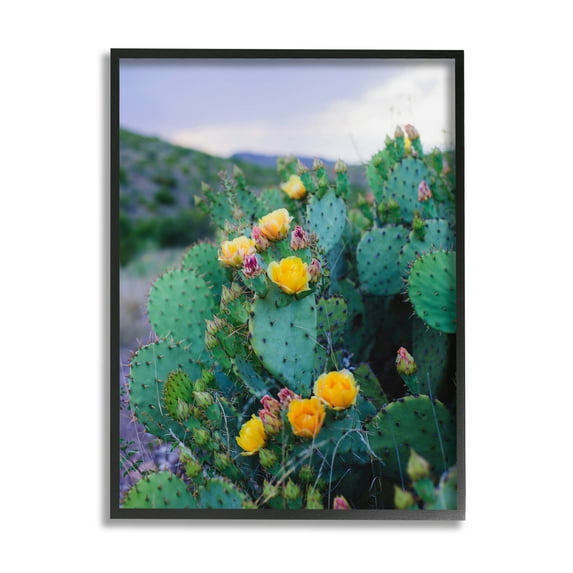 Stupell Industries Vivid Cactus Blossoms Photograph Black Framed Art Print Wall Art, Design by Sonja Quintero