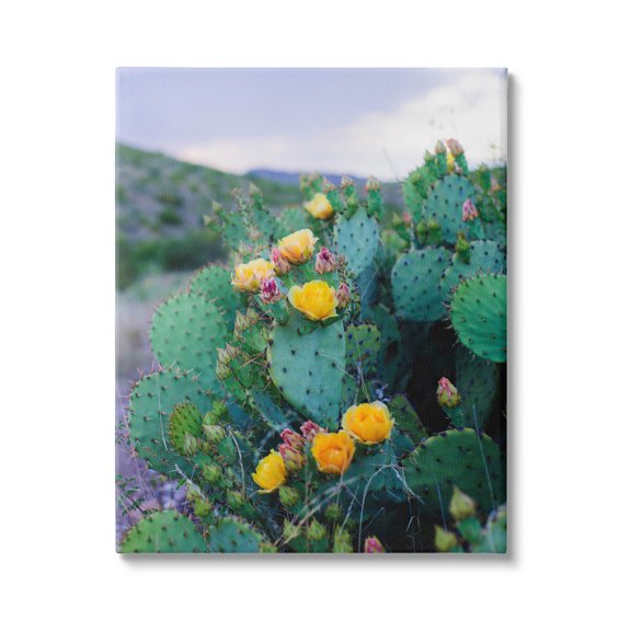 Stupell Industries Vivid Cactus Blossoms Photograph Gallery Wrapped Canvas Print Wall Art, Design by Sonja Quintero